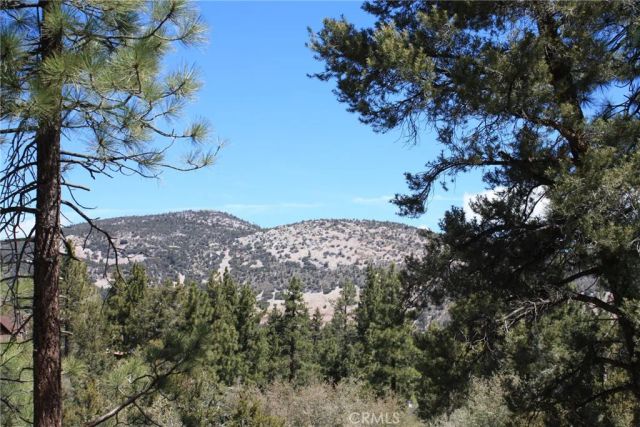 615 Kean Way, Big Bear City, CA 92314