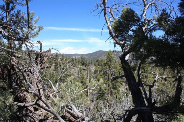 615 Kean Way, Big Bear City, CA 92314