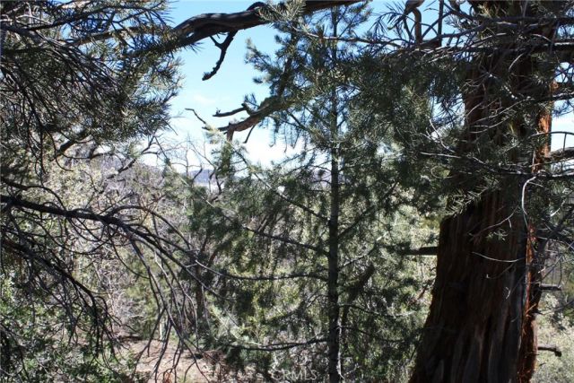 615 Kean Way, Big Bear City, CA 92314