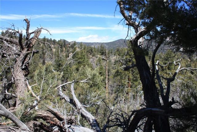 615 Kean Way, Big Bear City, CA 92314