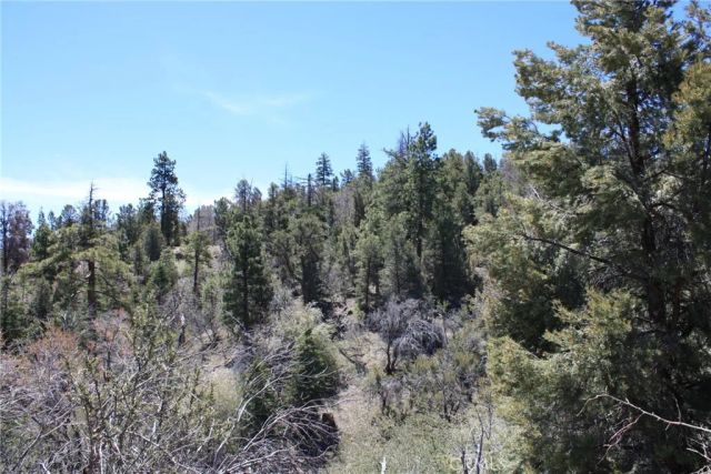 615 Kean Way, Big Bear City, CA 92314