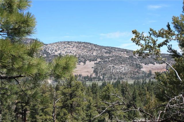 615 Kean Way, Big Bear City, CA 92314