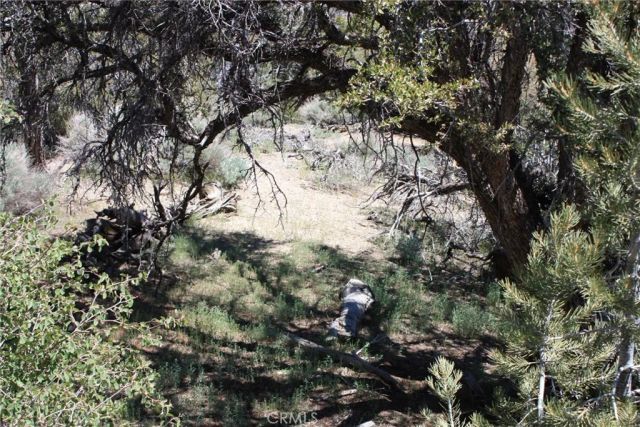 615 Kean Way, Big Bear City, CA 92314