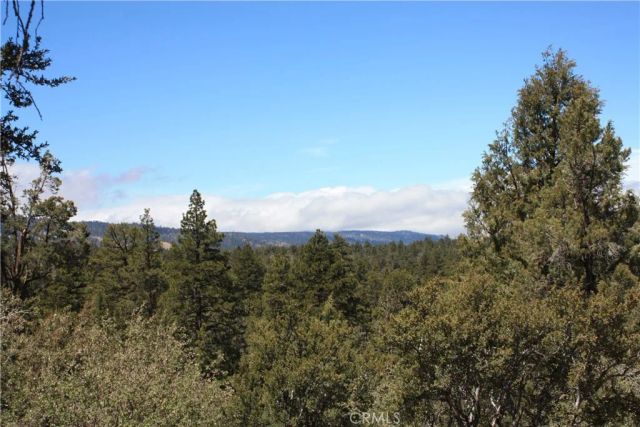 615 Kean Way, Big Bear City, CA 92314