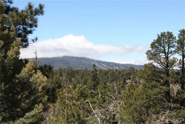 615 Kean Way, Big Bear City, CA 92314