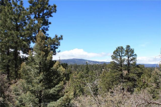 615 Kean Way, Big Bear City, CA 92314