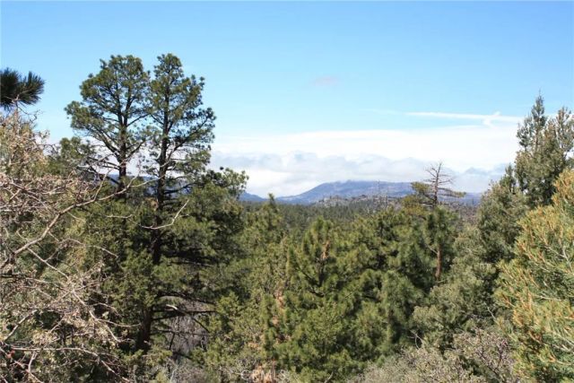 615 Kean Way, Big Bear City, CA 92314