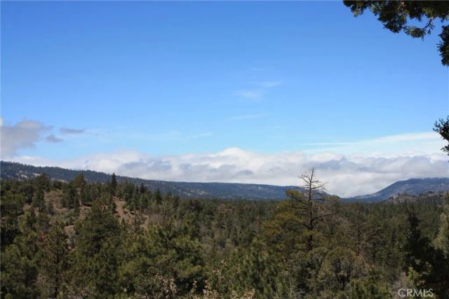 615 Kean Way, Big Bear City, CA 92314