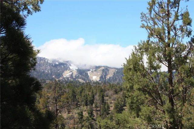 615 Kean Way, Big Bear City, CA 92314