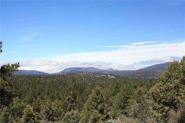 615 Kean Way, Big Bear City, CA 92314