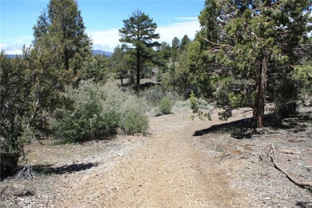 615 Kean Way, Big Bear City, CA 92314