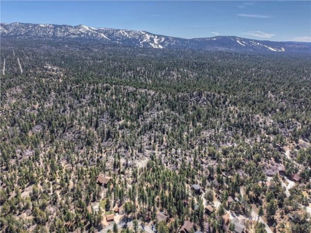 615 Kean Way, Big Bear City, CA 92314