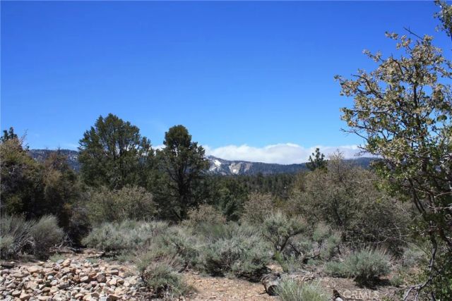 615 Kean Way, Big Bear City, CA 92314