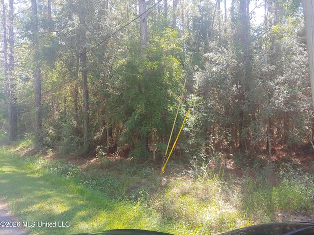 E Newton Street, Bay Saint Louis, MS 39520