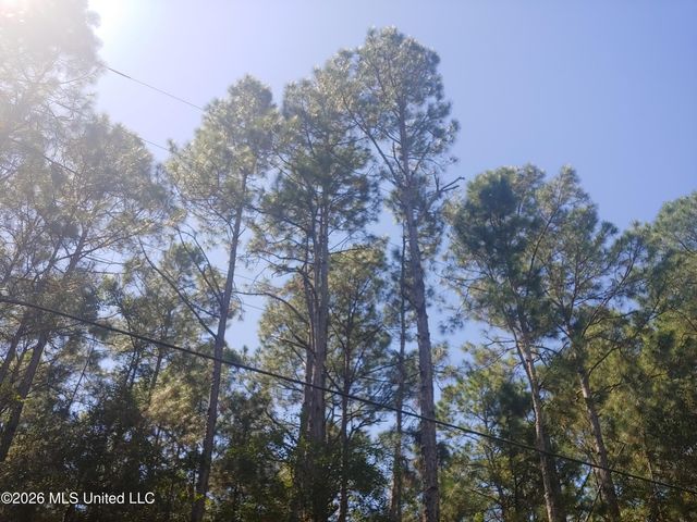 E Newton Street, Bay Saint Louis, MS 39520