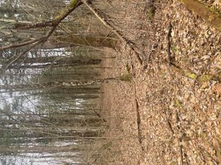 462 Malta Avenue, Ballston Spa, NY 12020