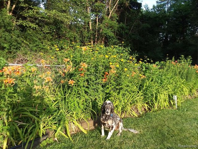 29513 Greenland Street, Livonia, MI 48154