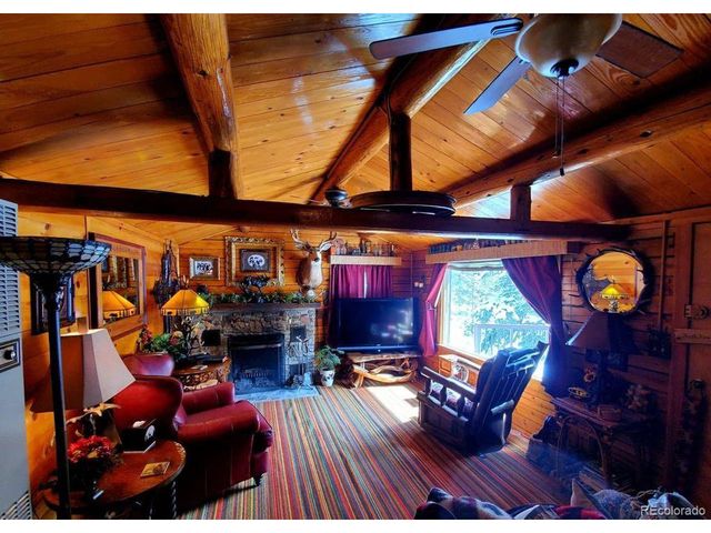 22585 County Road 292, Nathrop, CO 81236