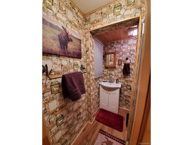 22585 County Road 292, Nathrop, CO 81236