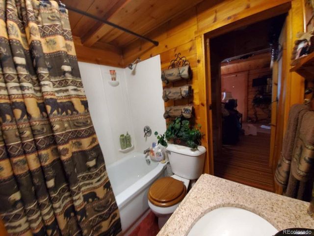 22585 County Road 292, Nathrop, CO 81236