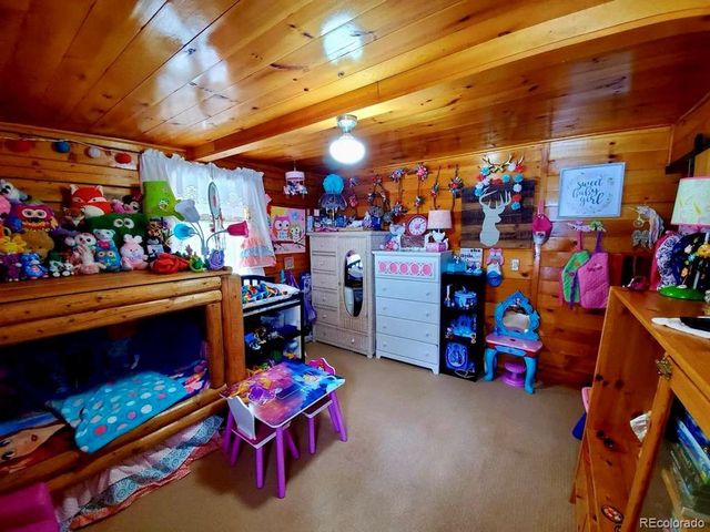 22585 County Road 292, Nathrop, CO 81236