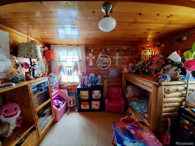 22585 County Road 292, Nathrop, CO 81236