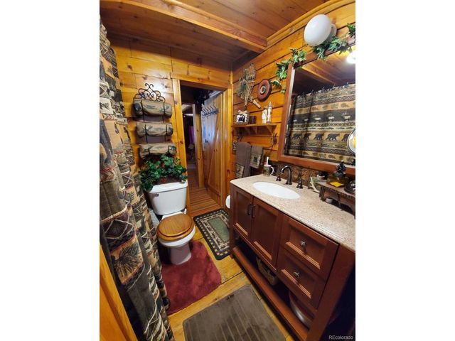 22585 County Road 292, Nathrop, CO 81236