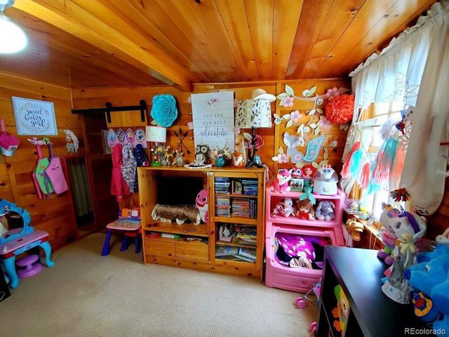 22585 County Road 292, Nathrop, CO 81236