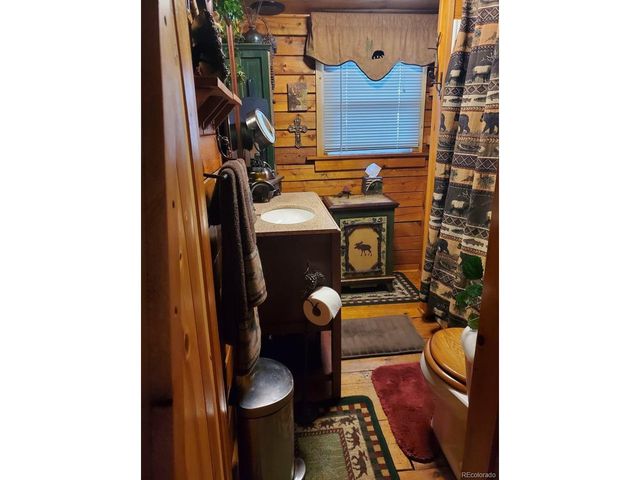 22585 County Road 292, Nathrop, CO 81236