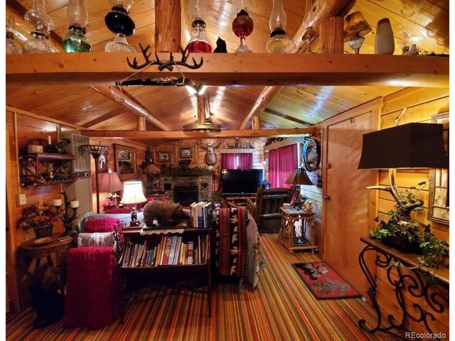 22585 County Road 292, Nathrop, CO 81236