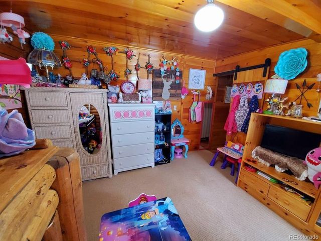 22585 County Road 292, Nathrop, CO 81236