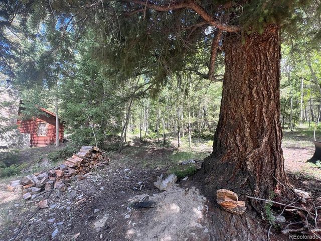 22585 County Road 292, Nathrop, CO 81236