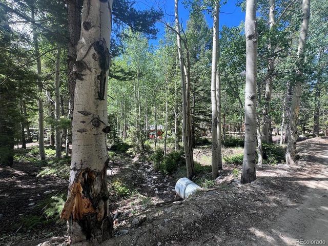 22585 County Road 292, Nathrop, CO 81236