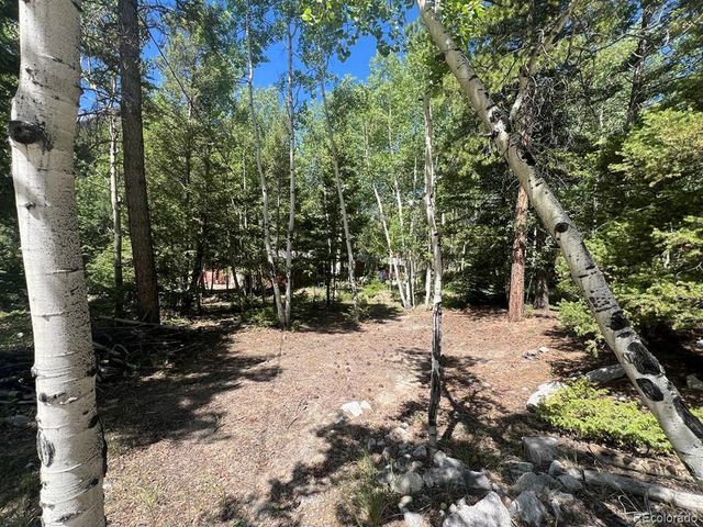 22585 County Road 292, Nathrop, CO 81236