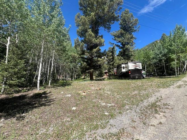 22585 County Road 292, Nathrop, CO 81236