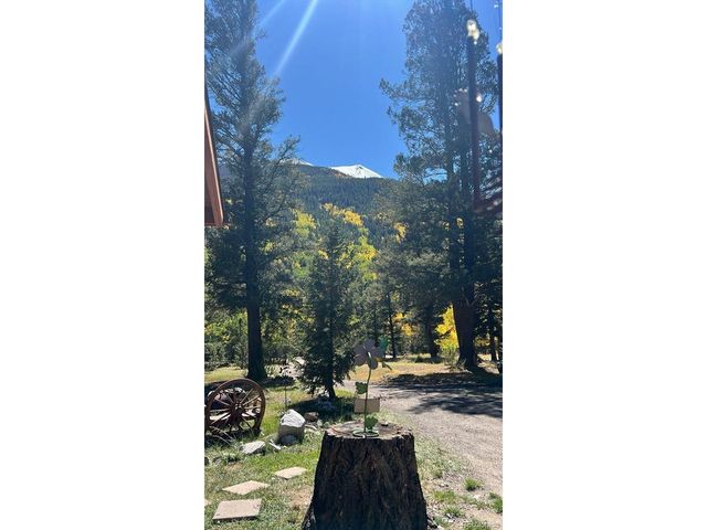 22585 County Road 292, Nathrop, CO 81236