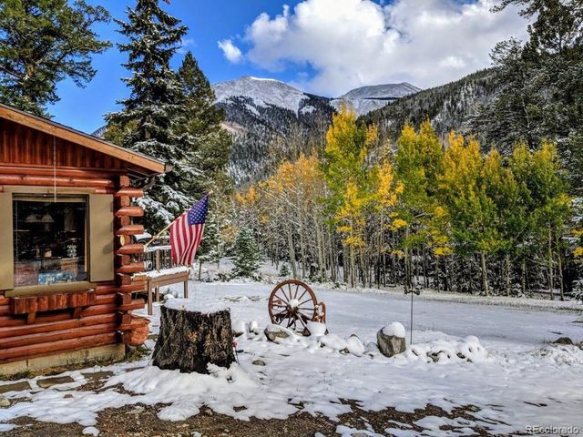 22585 County Road 292, Nathrop, CO 81236