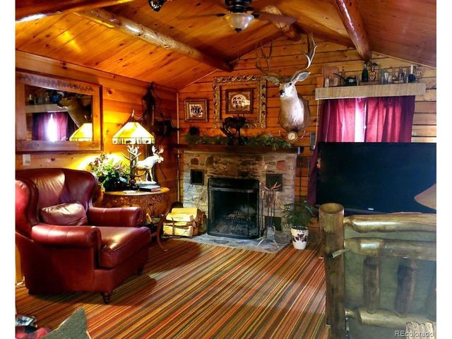 22585 County Road 292, Nathrop, CO 81236