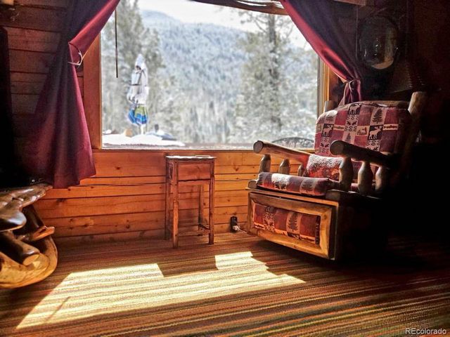 22585 County Road 292, Nathrop, CO 81236