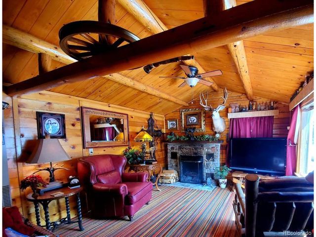 22585 County Road 292, Nathrop, CO 81236