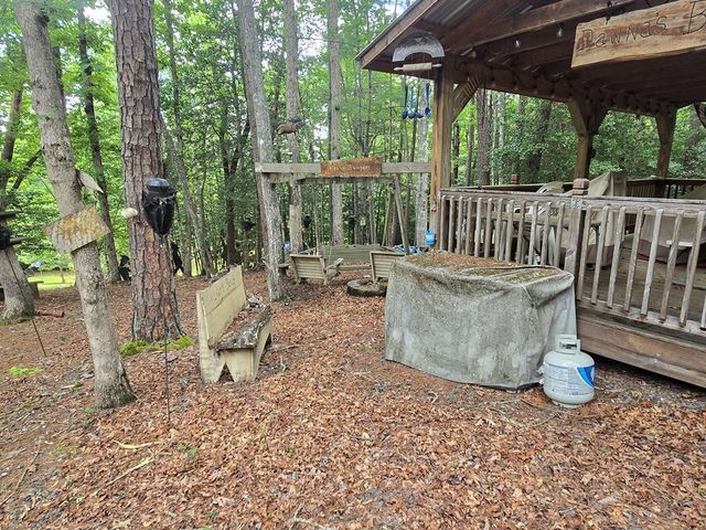 64 Green Oak Road, Warne, NC 28909