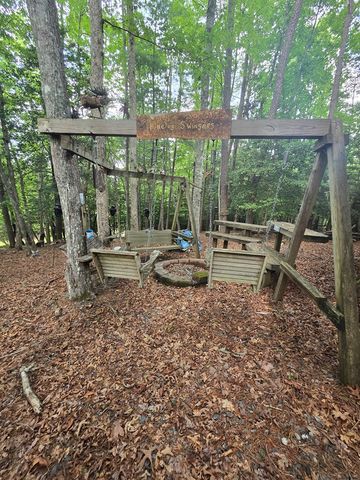 64 Green Oak Road, Warne, NC 28909