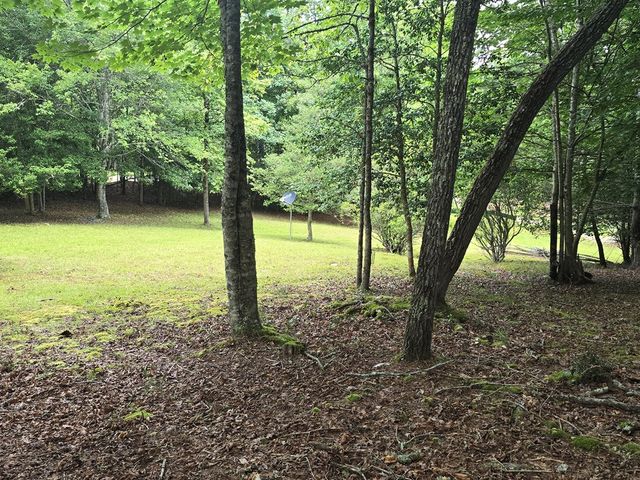 64 Green Oak Road, Warne, NC 28909