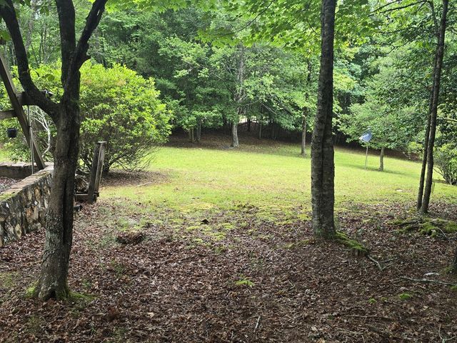 64 Green Oak Road, Warne, NC 28909