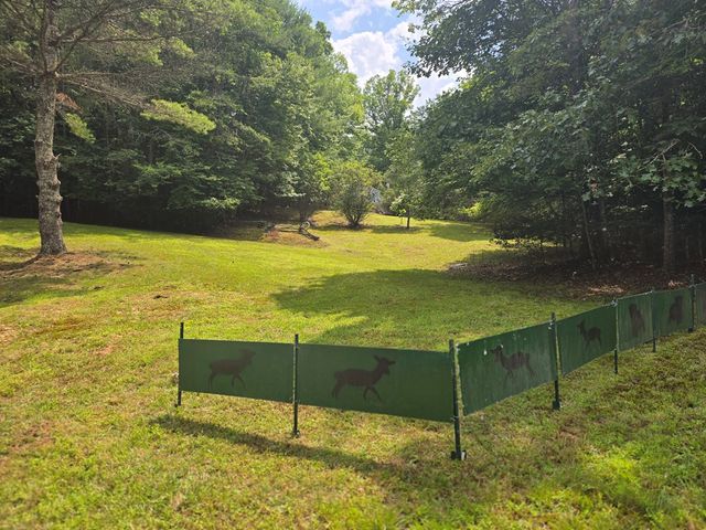 64 Green Oak Road, Warne, NC 28909