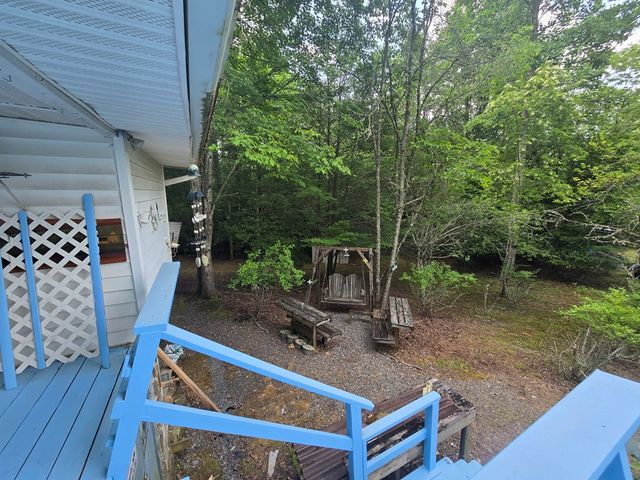 64 Green Oak Road, Warne, NC 28909