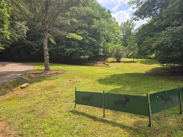 64 Green Oak Road, Warne, NC 28909
