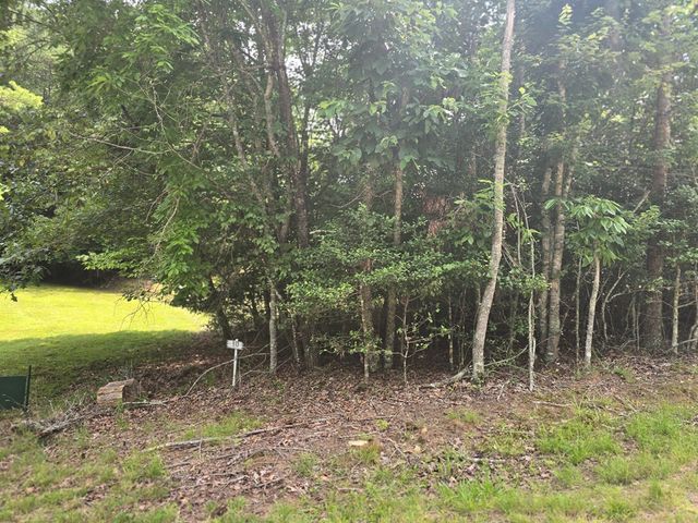 64 Green Oak Road, Warne, NC 28909