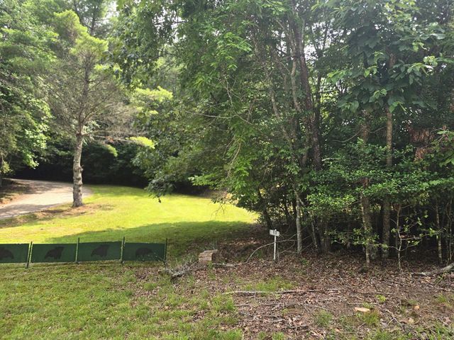 64 Green Oak Road, Warne, NC 28909