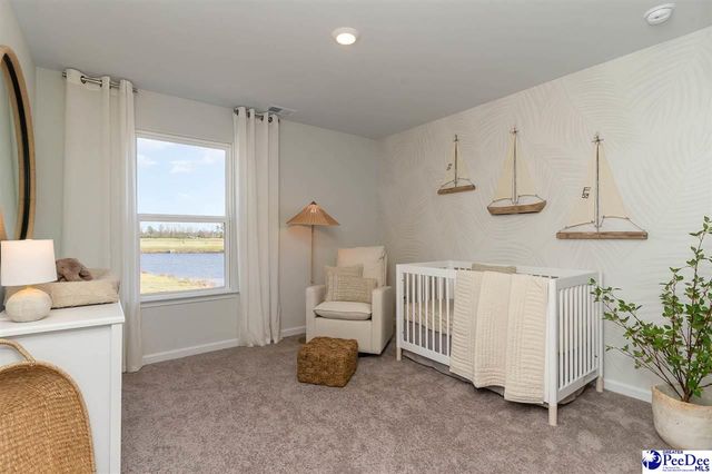 555 Strawberry Field Way, Galivants Ferry, SC 29588